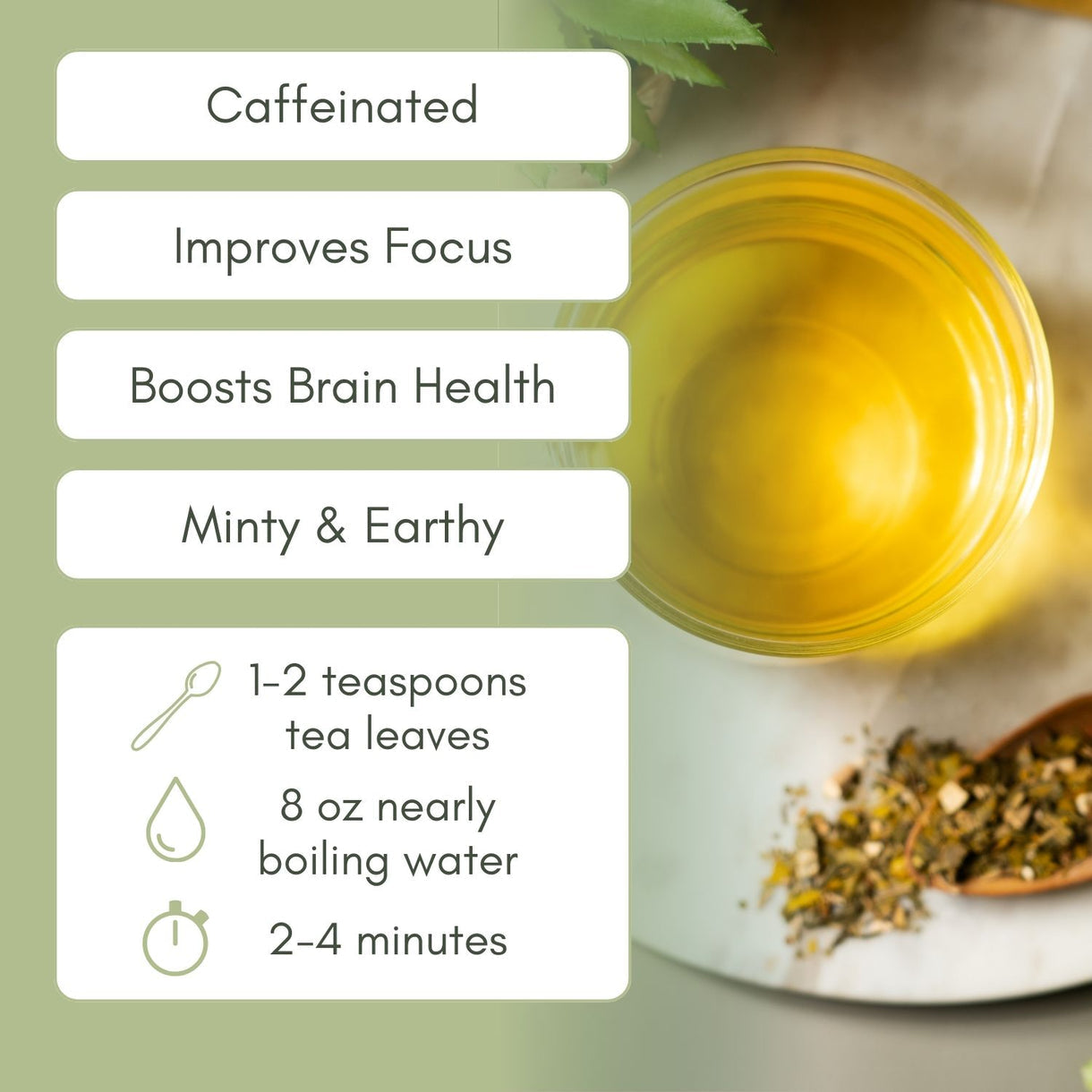 Organic Green Tea GD