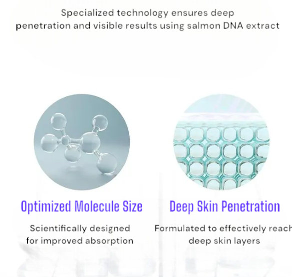 π₯Last Day Promotion Turnover Ampoule β DNA-Based Anti-Aging Serum for Firm, Radiant, Youthful Skin β 1.69 fl oz